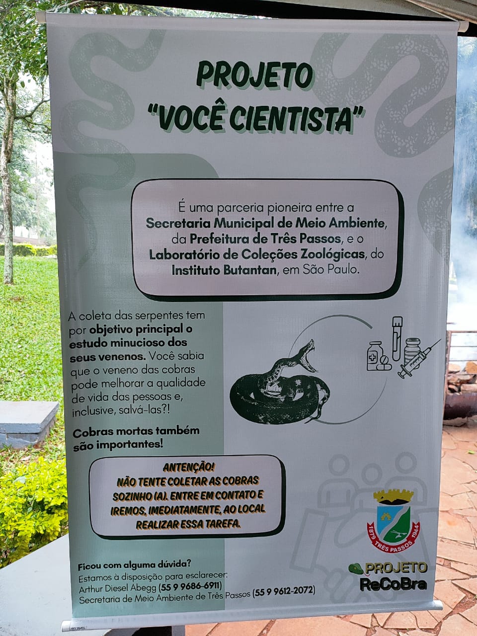  imagem