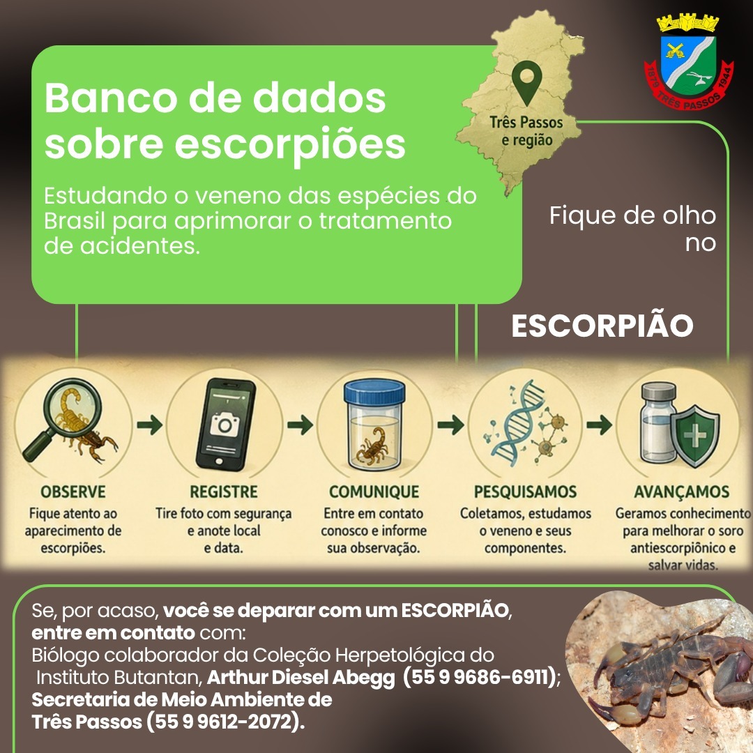 Foto relacionada à notícia: Encontrou um escorpião? Seu registro pode contribuir com pesquisa científica