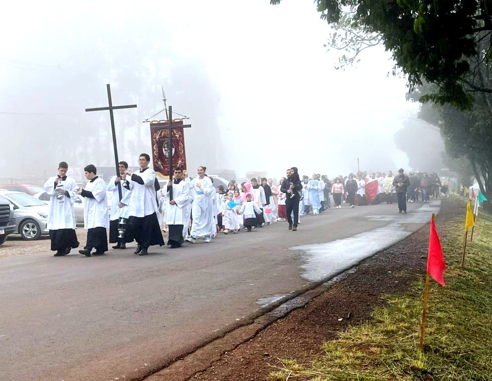  imagem