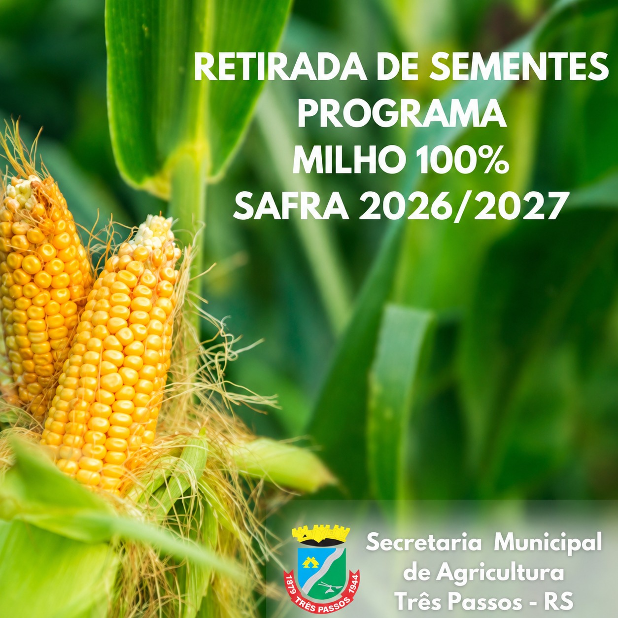Foto relacionada à notícia: ATUALIZAÇÃO – ENTREGA DAS SEMENTES DE MILHO 100% – SAFRA 2026/2027